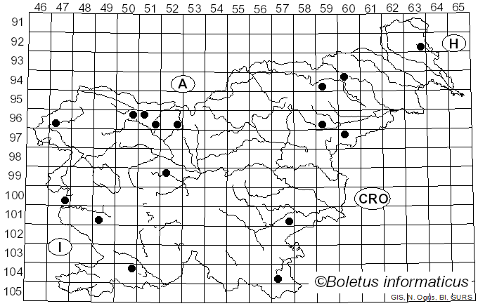 <i>Dasyscyphella nivea</i> (R. Hedw.) Raitv. (1970)