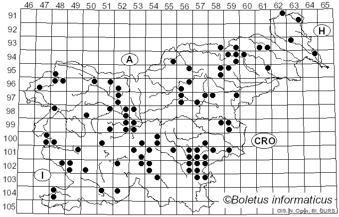 <i>Hebeloma crustuliniforme</i> (Bull.) Quél. (1872)