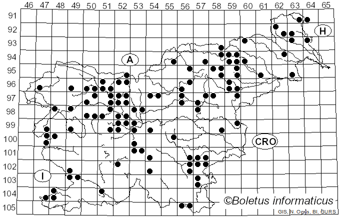 <i>Aleuria</i> Fuckel (1870)