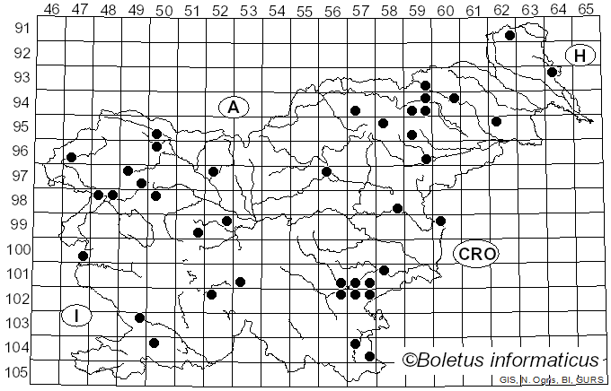 <i>Haematostereum</i> Pouzar (1959)