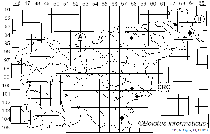 <i>Tischeria</i>