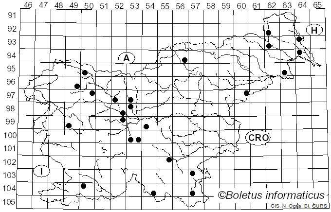 <i>Stemonitis axifera</i> (Bull.) T. Macbr. (1889)