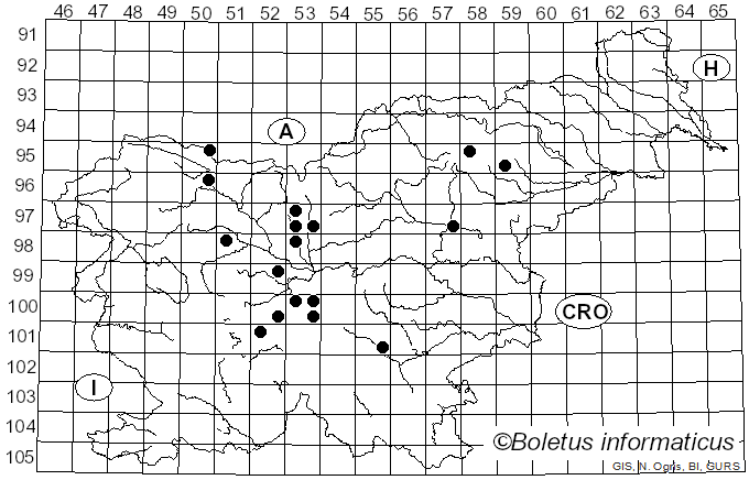 <i>Omphalina</i> Quél. (1886)
