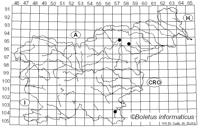 <i>Galerina paludosa</i> (Fr.) Kühner (1935)