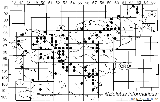 <i>Strobilurus esculentus</i> (Wulfen) Singer (1962)