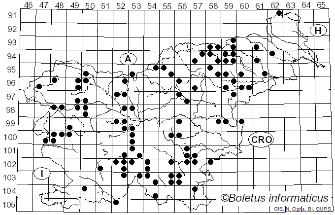 <i>Trichaptum abietinum</i> (Dicks.) Ryvarden (1972)