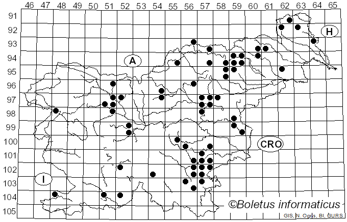 <i>Clavaria versatilis</i> (Quél.) Sacc. & Trotter (1912)