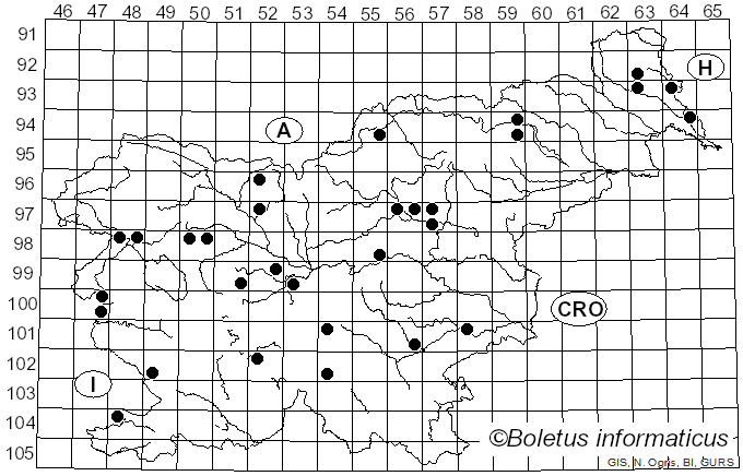 <i>Ramaria fumigata</i> (Peck) Corner (1950)