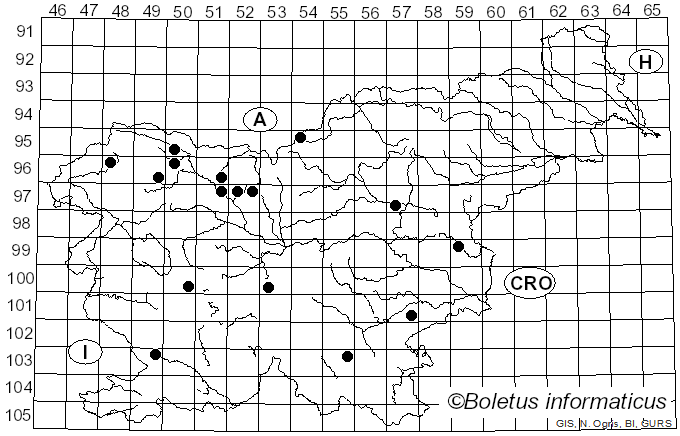 <i>Exidia pithya</i> (Alb. & Schwein.) Fr. (1822)