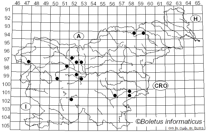 <i>Aurantiporus</i> Murrill (1905)