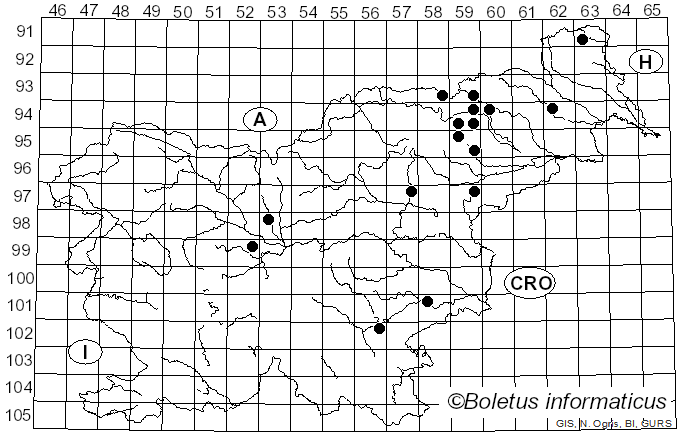 <i>Galerina hypnorum</i> (Schrank) Kühner (1935)