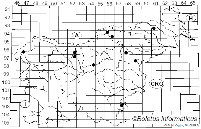 <i>Fenusa dohrnii</i> (Tischbein)