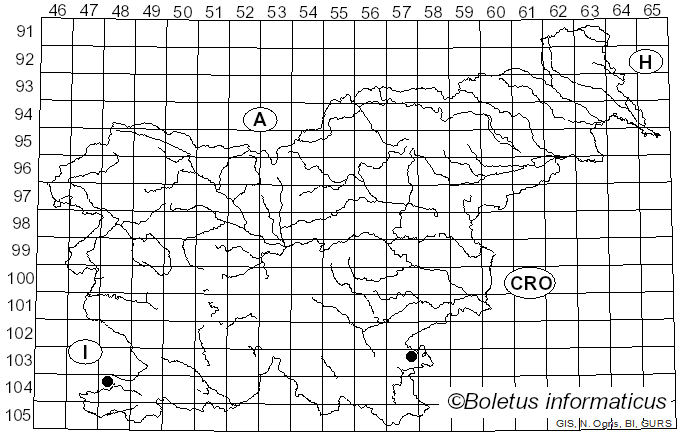 <i>Cortinarius eufulmineus</i> Rob. Henry (1952)