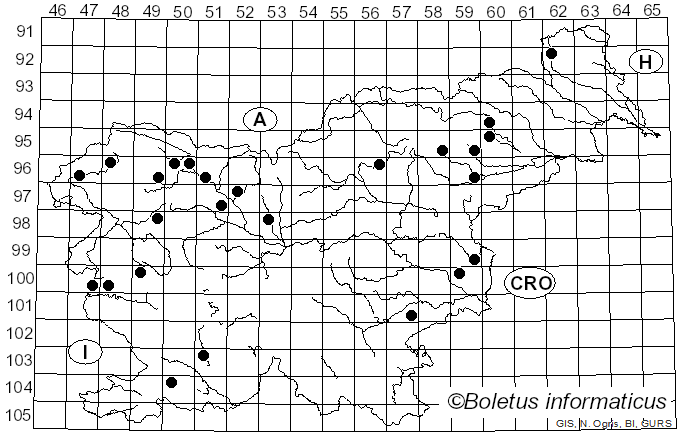 <i>Ascocoryne cylichnium</i> (Tul.) Korf (1971)