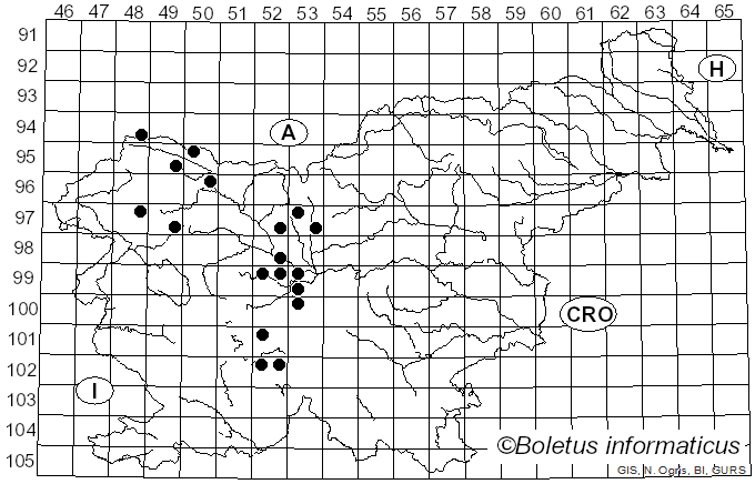 <i>Puccinia flosculosorum</i> Röhl.