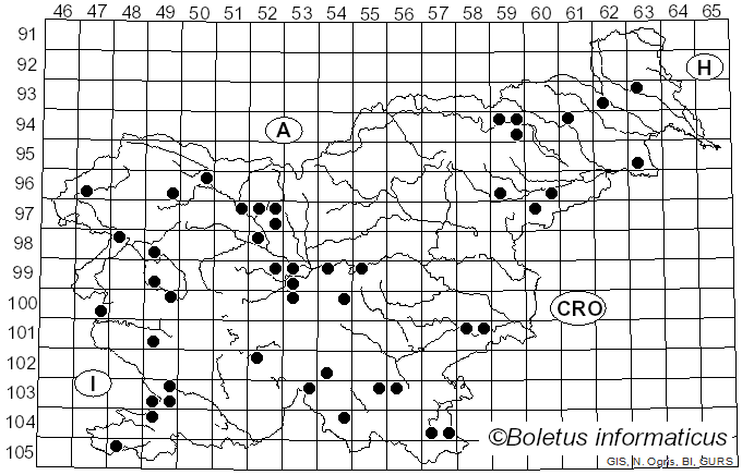 <i>Vuilleminia comedens</i> (Nees) Maire (1902)