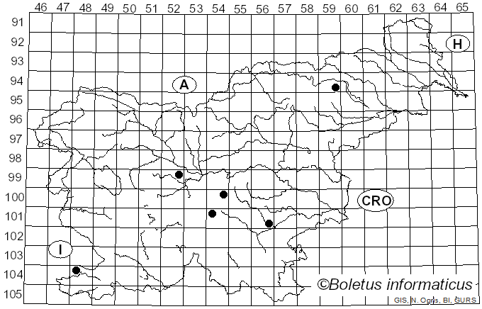 <i>Boletus persoonii</i> Bon (1988)