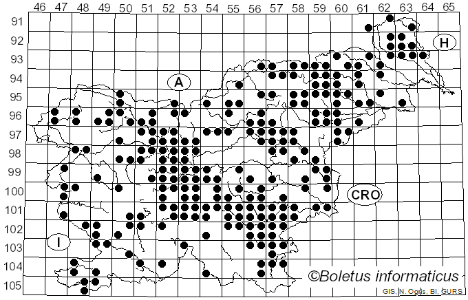<i>Xerocomus subtomentosus</i> (L.) Quél. (1888)