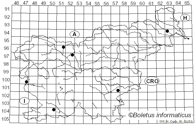 <i>Stictis radiata</i> (L.) Pers. (1800)