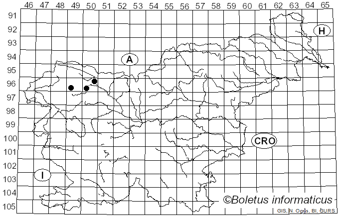 <i>Rinodina septentrionalis</i> Malme (1913)