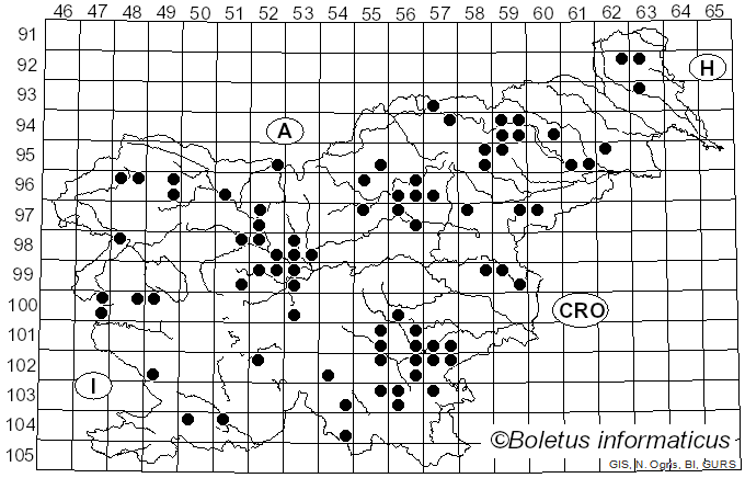 <i>Cyanosporus caesius</i> (Schrad.) McGinty (1909)