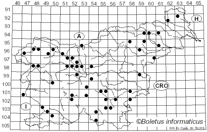 <i>Ascocoryne sarcoides</i> (Jacq.) J.W. Groves & D.E. Wilson (1967)