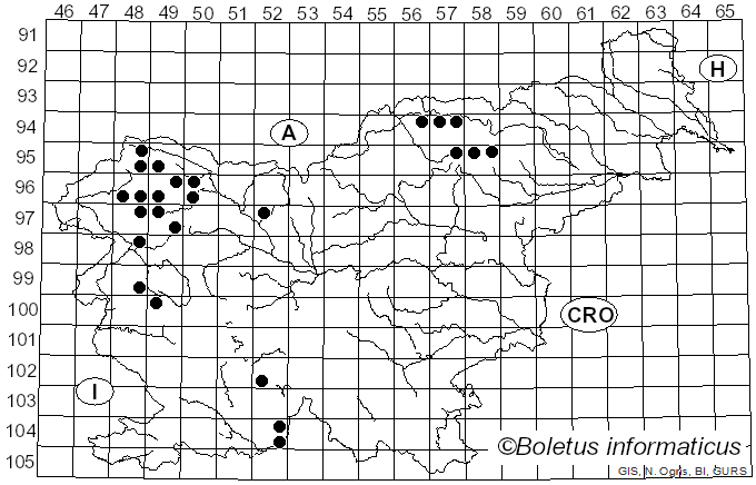 <i>Lecanora symmicta</i> (Ach.) Ach. (1814)