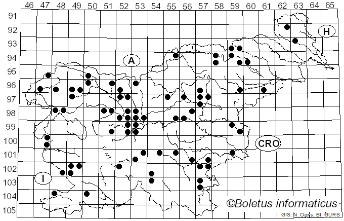 <i>Gliophorus psittacinus</i> (Schaeff.) Herink (1958)