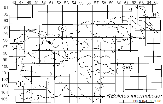 <i>Iodophanus carneus</i> (Pers.) Korf (1967)