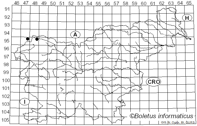 <i>Orthonevra nobilis</i> Fallen
