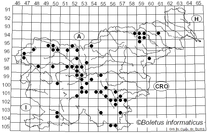 <i>Tubifera ferruginosa</i> (Batsch) J.F. Gmel. (1792)