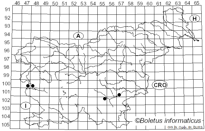 <i>Flammulaster muricatus</i> (Fr.) Watling (1967)