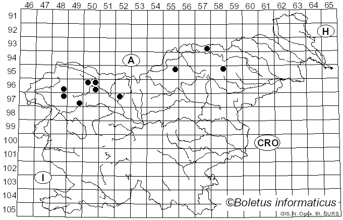 <i>Hypocenomyce</i> M. Choisy (1951)