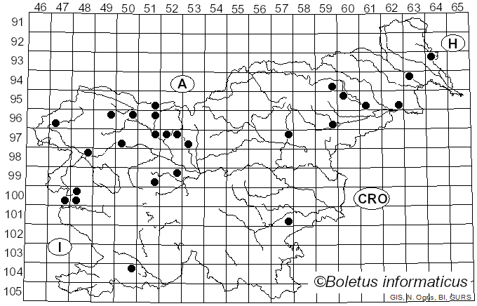 <i>Dumontinia</i> L.M. Kohn (1979)