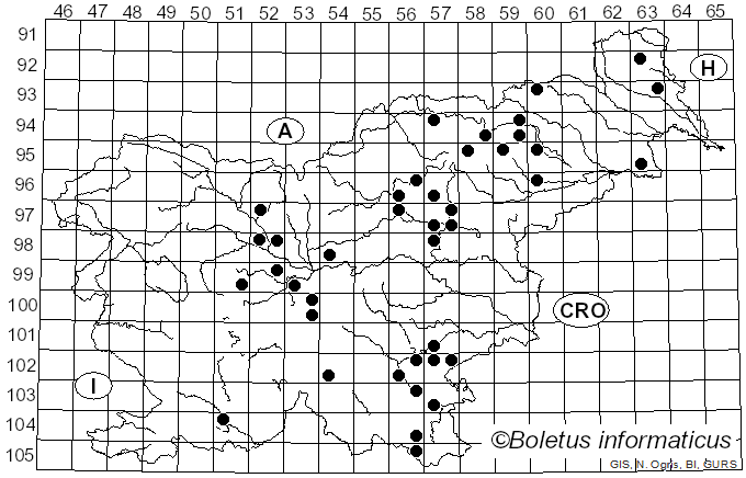 <i>Lactifluus oedematopus</i> (Scop.) Kuntze (1891)