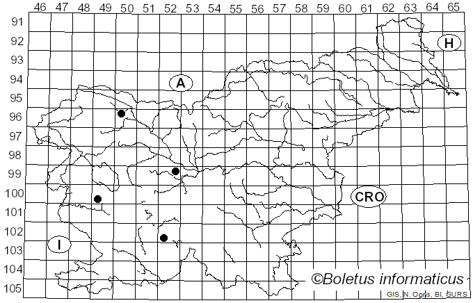 <i>Melangyna lasiophthalma</i> Zetterstedt (1843)