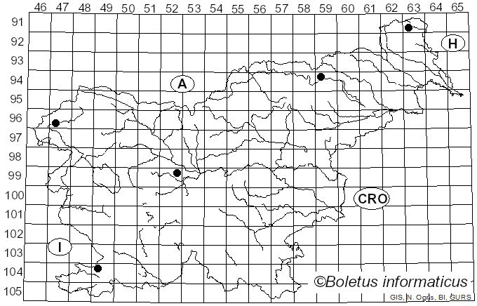 <i>Mycena olivaceomarginata</i> (Massee) Massee (1893)