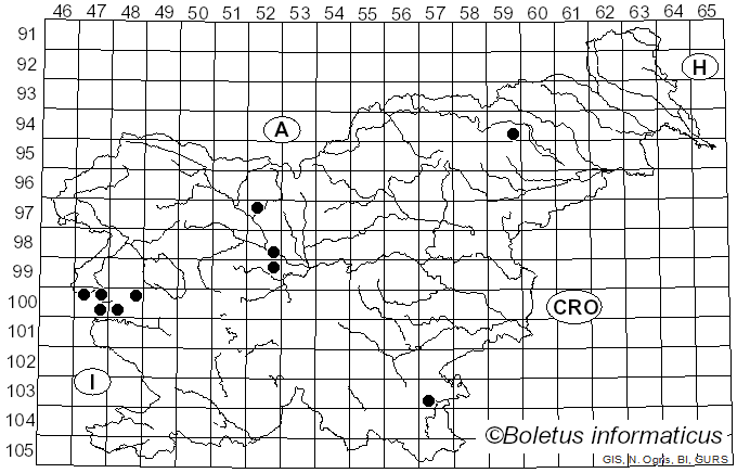 <i>Scleroderma polyrhizum</i> (J.F. Gmel.) Pers. (1801)