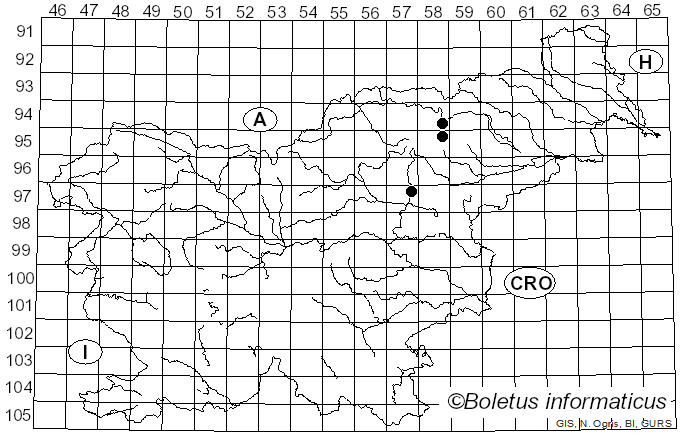 <i>Calonarius alnobetulae</i> (Kühner) Niskanen & Liimat. (2022)