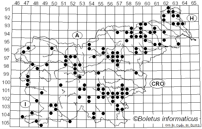 <i>Hapalopilus</i> P. Karst. (1881)