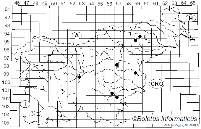 <i>Lactarius pseudouvidus</i> Kühner (1985)