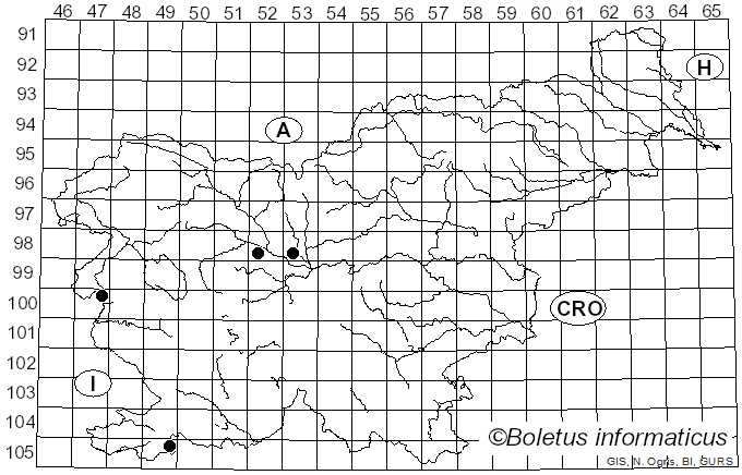 <i>Uromyces excavatus</i> (DC.) Magnus