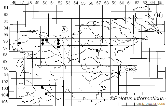 <i>Phaeotremella frondosa</i> (Fr.) Spirin & V. Malysheva (2018)
