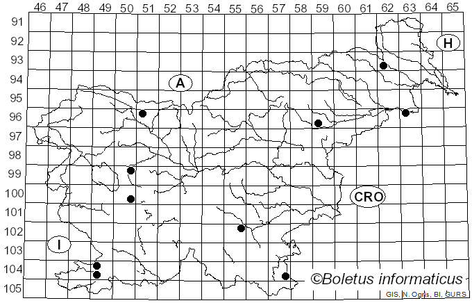 <i>Bertia moriformis</i> (Tode) De Not. (1844)