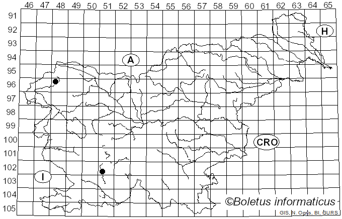 <i>Szczepkamyces</i> Zmitr. (2018)