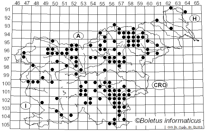 <i>Amanita battarrae</i> (Boud.) Bon (1985)