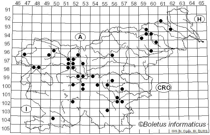 <i>Lyomyces sambuci</i> (Pers.) P. Karst. (1882)