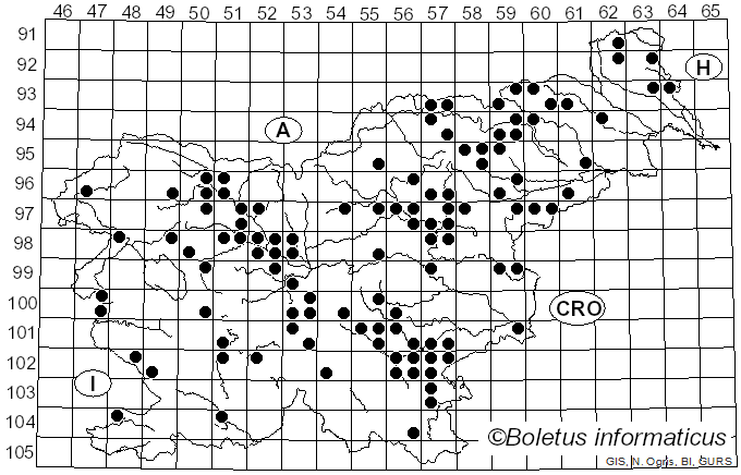<i>Xerocomus ferrugineus</i> (Schaeff.) Alessio (1985)