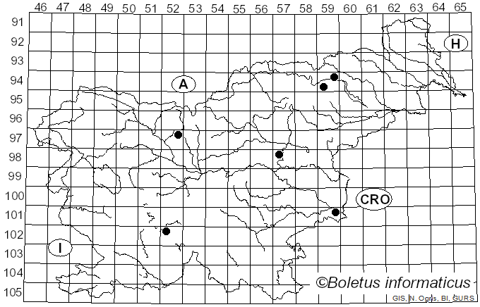 <i>Russula aurantiolutea</i> Kauffman