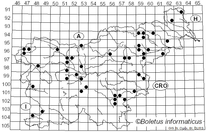 <i>Clitocybe metachroa</i> (Fr.) P. Kumm. (1871)